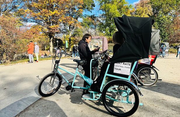 Central Park Private Pedicab Tour (2hrs) 