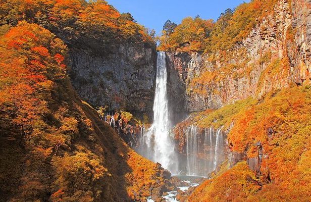 Full-Day Private Nikko Tour from Tokyo wd English Speaking Driver