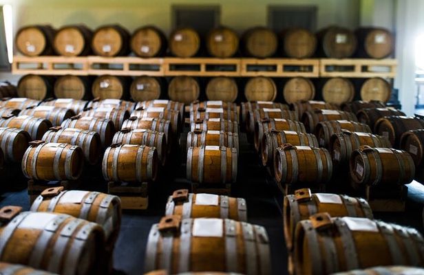 Visit at Modena Balsamic Vinegar producer