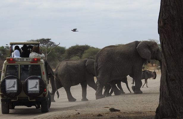 4-Day Tarangire, Serengeti, Ngorongoro Crater