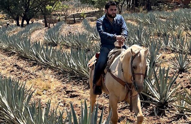 Visit to Tequila and Horseback Riding Among the Agave Landscape