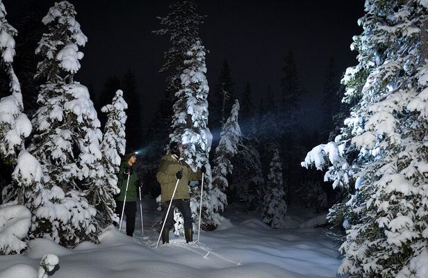 Evening Ski Trek to the Wilderness - Extra Small group