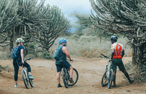 Private Cycle to Kilimanjaro Bike Park Safari