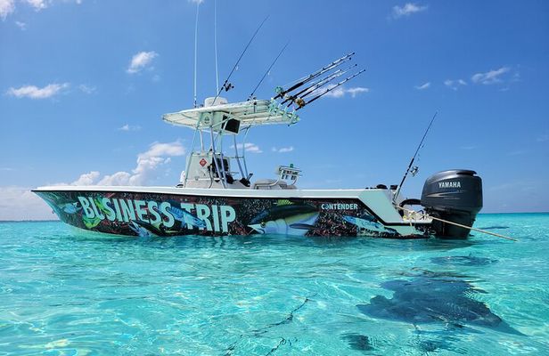 Private Boat Charter in Cayman Islands