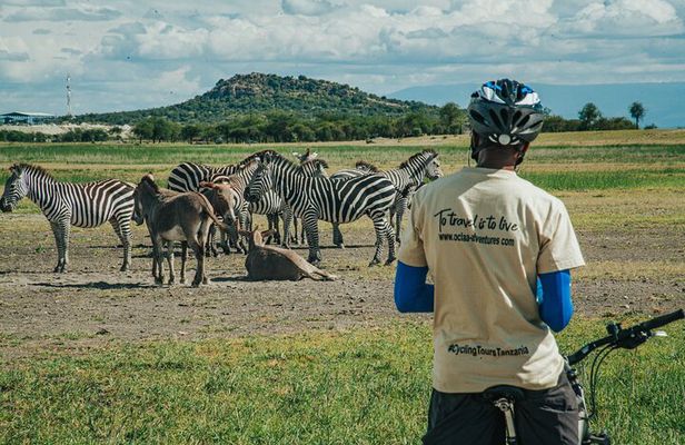 Cycle Kili to Ngorongoro Crater