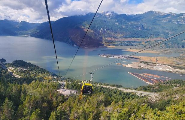 Private Tour: Stanley Park, Sea to Sky Gondola & Whistler