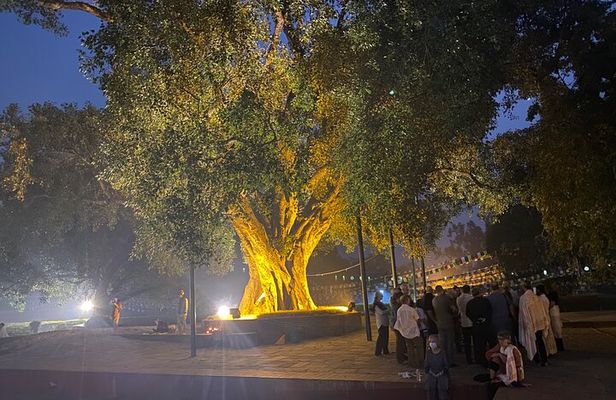 Full Day Lumbini Tour