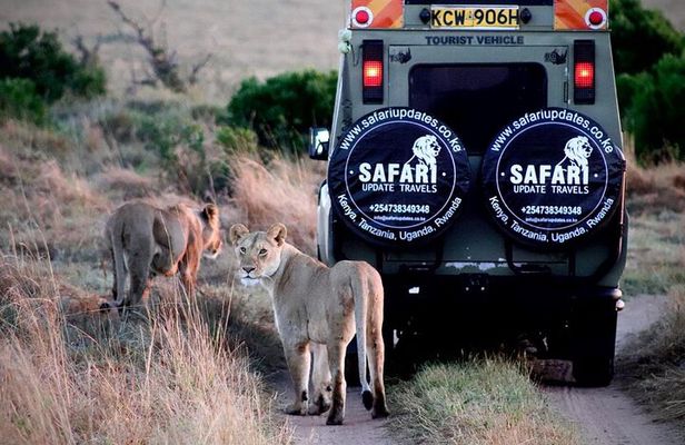3 Days 2 nights Group joining Midrange Safari Tour in Masai maraa