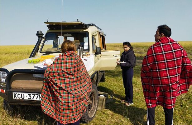 3 Days Best of MasaiMara Wildlife Private Safari, Mid-Range offer