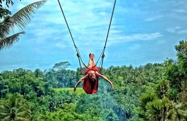 Bali Ubud Jungle Swing: Monkey Forest and Waterfall Private Tour