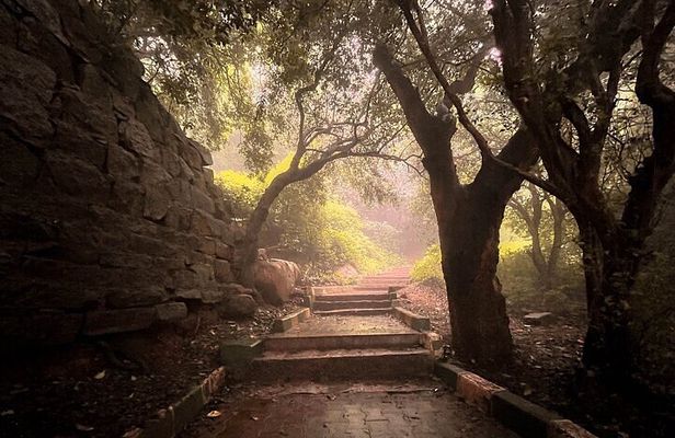 Nandi Trail Tour