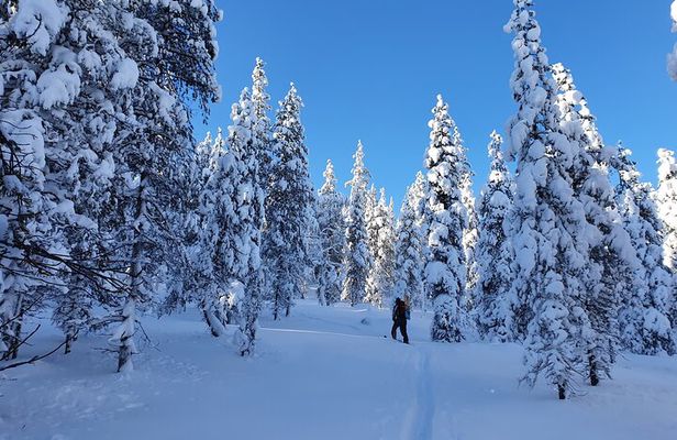 Guided Daytime Ski Adventure: Explore Private Trails by Rovaniemi