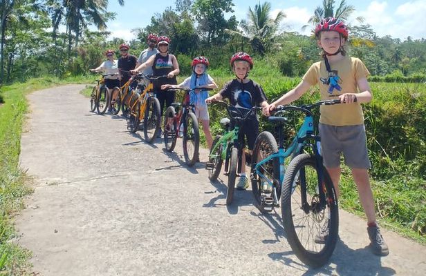 Downhill From Kintamani Cycling Shared Tours in Ubud