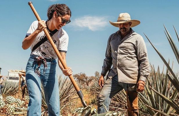 Private Tour to Distillery Tequila Ocho and Arandas