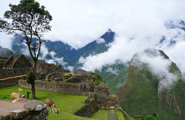 Sacred Valley and Machu Picchu 2 Day Tour with Accommodation