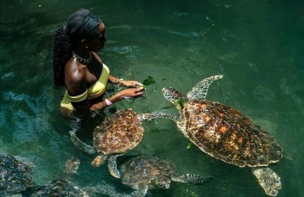 Full Day Private Zanzibar Tour with Sunset Beach