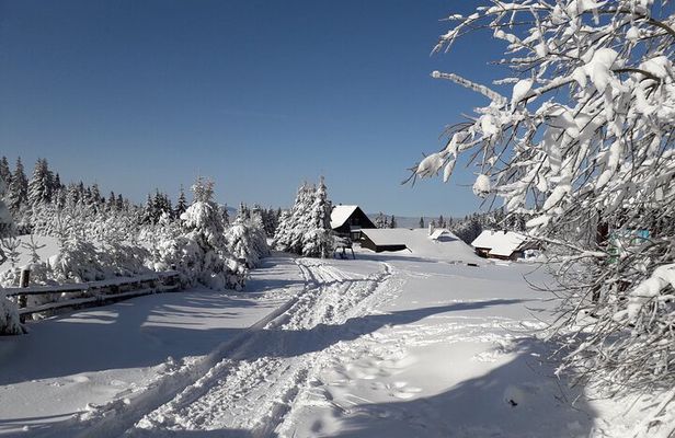 1-day Private Snowshoe Hike in the Gorce Mountains near Krakow