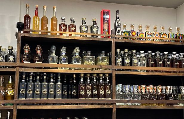 San Jose del Cabo- Tequila, Mezcal & Mixology Class