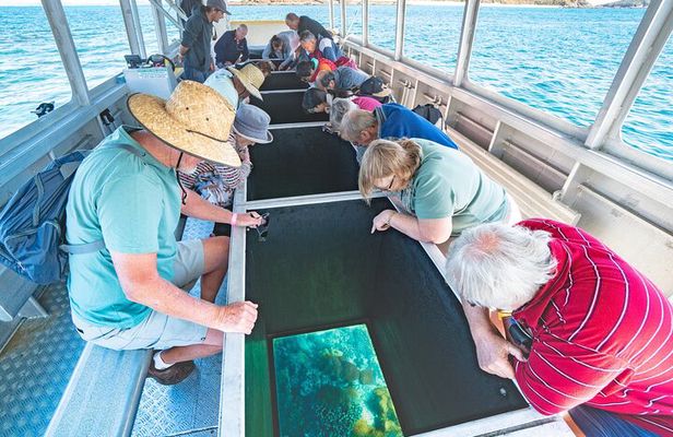 Great Keppel Island Glass Bottom Boat Tour & Ferry Transfer