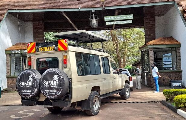 Half-Day National Wildlife Safari Private Tour in Nairobi