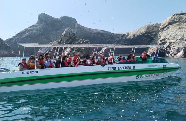 2-Hour Tour to the Ballestas Islands from Puerto San Martín