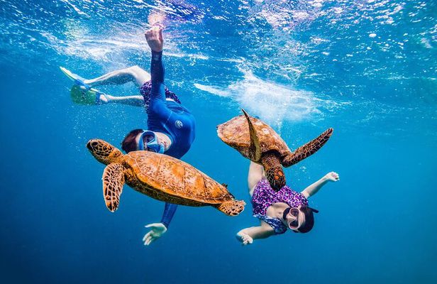 Full Day Snorkeling with Turtles in Sharm El Naga from Hurghada