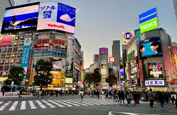 Private Walking Tour in Tokyo - Perfect for First-Time Visitors