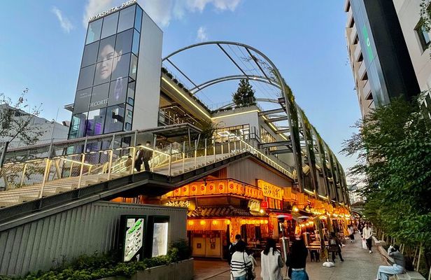 Get Unique Insights into Tokyo - Private Tour with local Guide