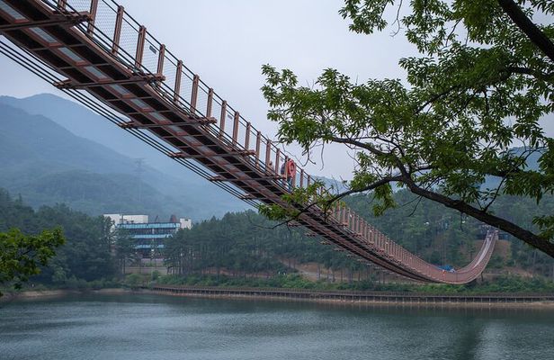 Private Tour DMZ Peace 3rd Invasion Tunnel and Suspension Bridge