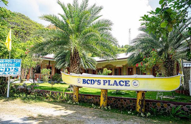 Oslob Whale Sharks and Moalboal Sardine Run, Sea Turtles Tour