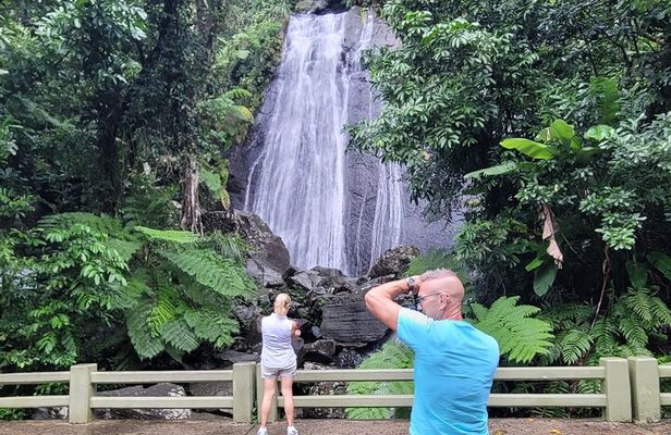El Yunque National Forest - The Road 191 Corridor - Half Day Tour