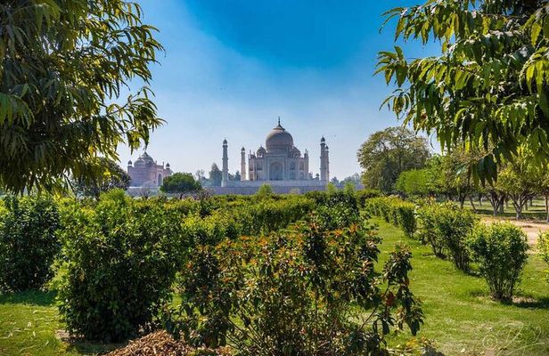 Same Day Agra Tour By Shatabdi Express (Viator Award Winner)