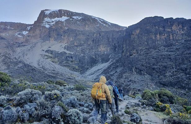 6 Days Climbing Mount Kilimanjaro Machame Route