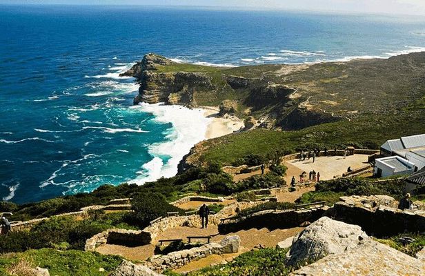 Explore Table Mountain, Meet Penguins and Discover Cape Point