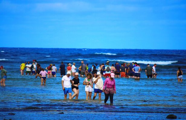 Private Full-Day Tour of Sal Island