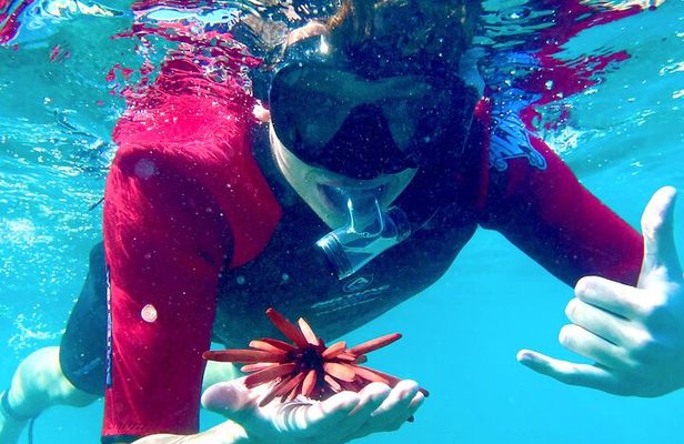 Guided Snorkeling for Beginners with Flotation Wetsuit