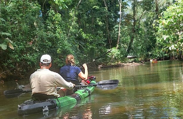 Guided Kayaking Tour to Punta Uva River with Nature and Swimming