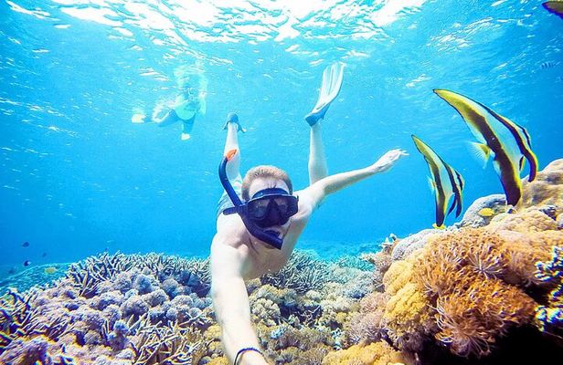 Snorkeling Nusa Penida and Island Tour Package