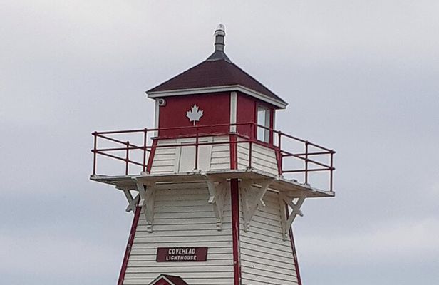 Deluxe North Shore and City Tour