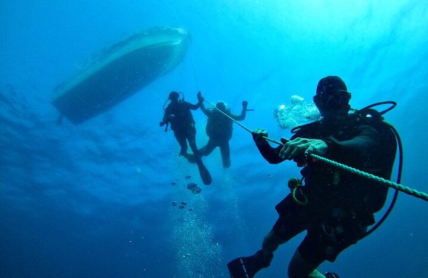 Diving in Colombo