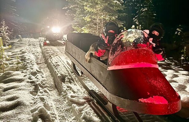 Northern Lights Tour Sleigh Ride