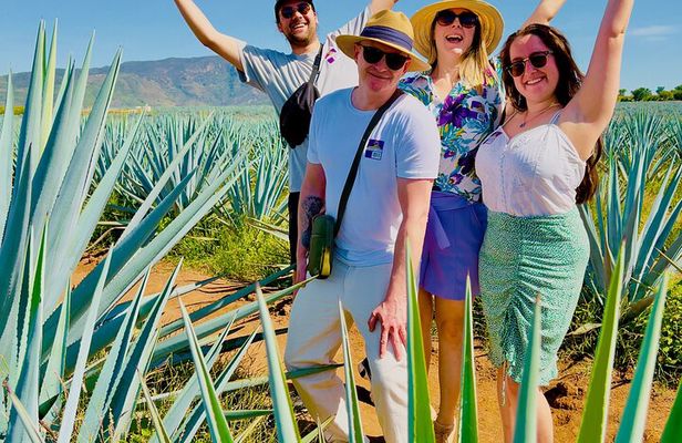 Tequila/Guachimontones Tour-cultural heritage route