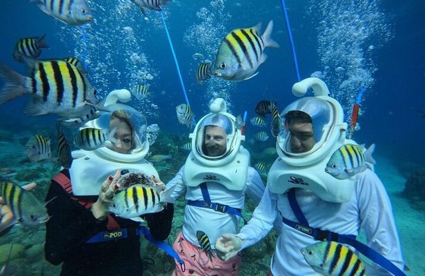 Curacao Guided Underwater Walking Tour, No Swimming Skills Needed