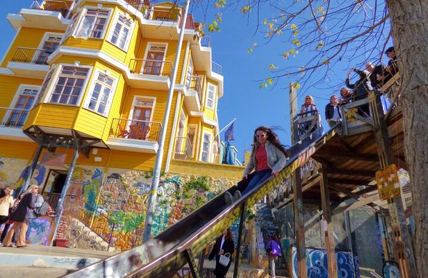 Tour to Valparaíso, Viña del Mar, Pablo Neruda Museum and Vineyard