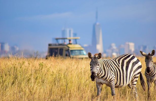 Nairobi National Park with Elephant Orphanage and Giraffe Center.