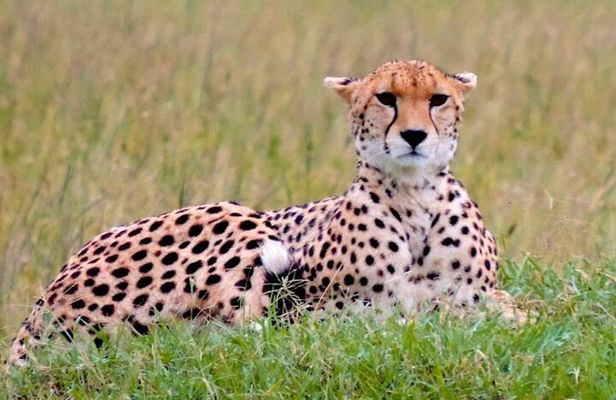 8 Day Bush and Beach Private Holiday Safari