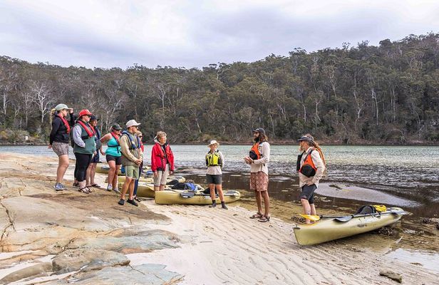 4 Hour Aboriginal Culture Tour Kayaking Pambula River
