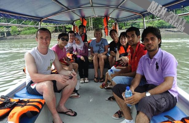 Mangrove Boat Tour Through Kilim Geo Forest Park Langkawi