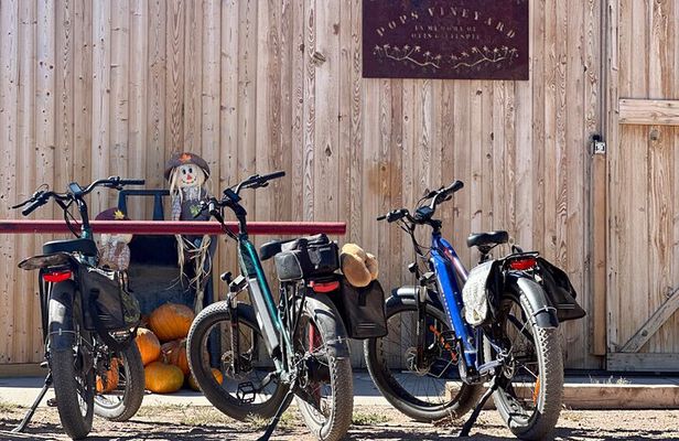 EBIKE Winery Tour in Penrose, Colorado: Penrose Uncorked