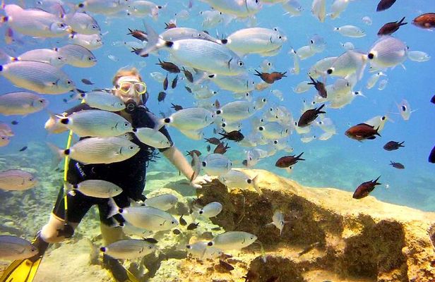 Try Dive - Scuba Diving with a private guide, incl. photos